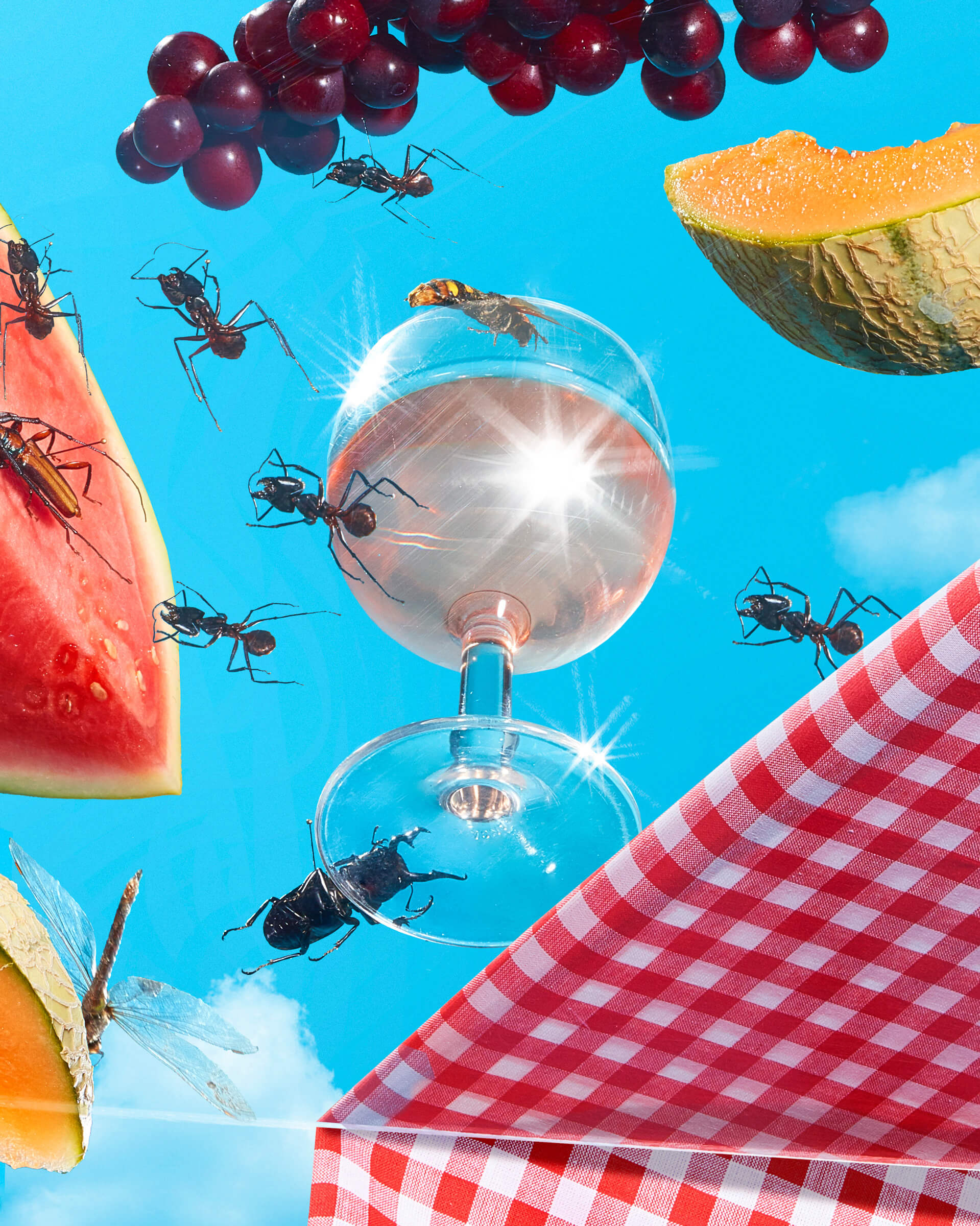 hold-on-please-patricia-blanchet-thomas-weil_03