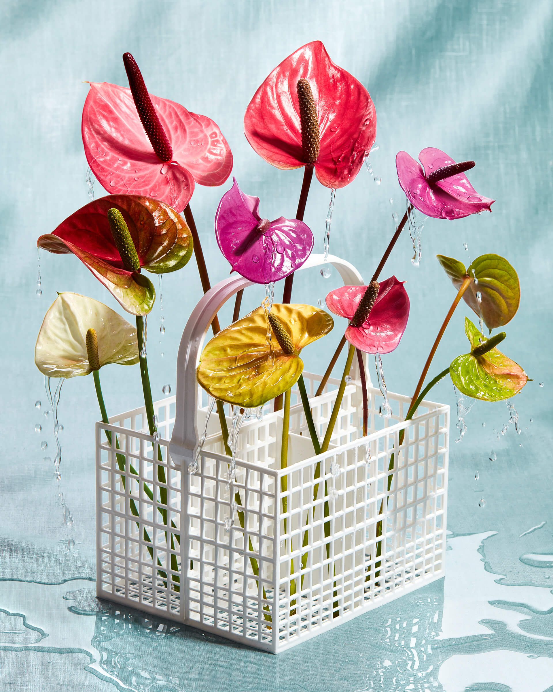 hold-on-please-vertical-thomas-weil-01