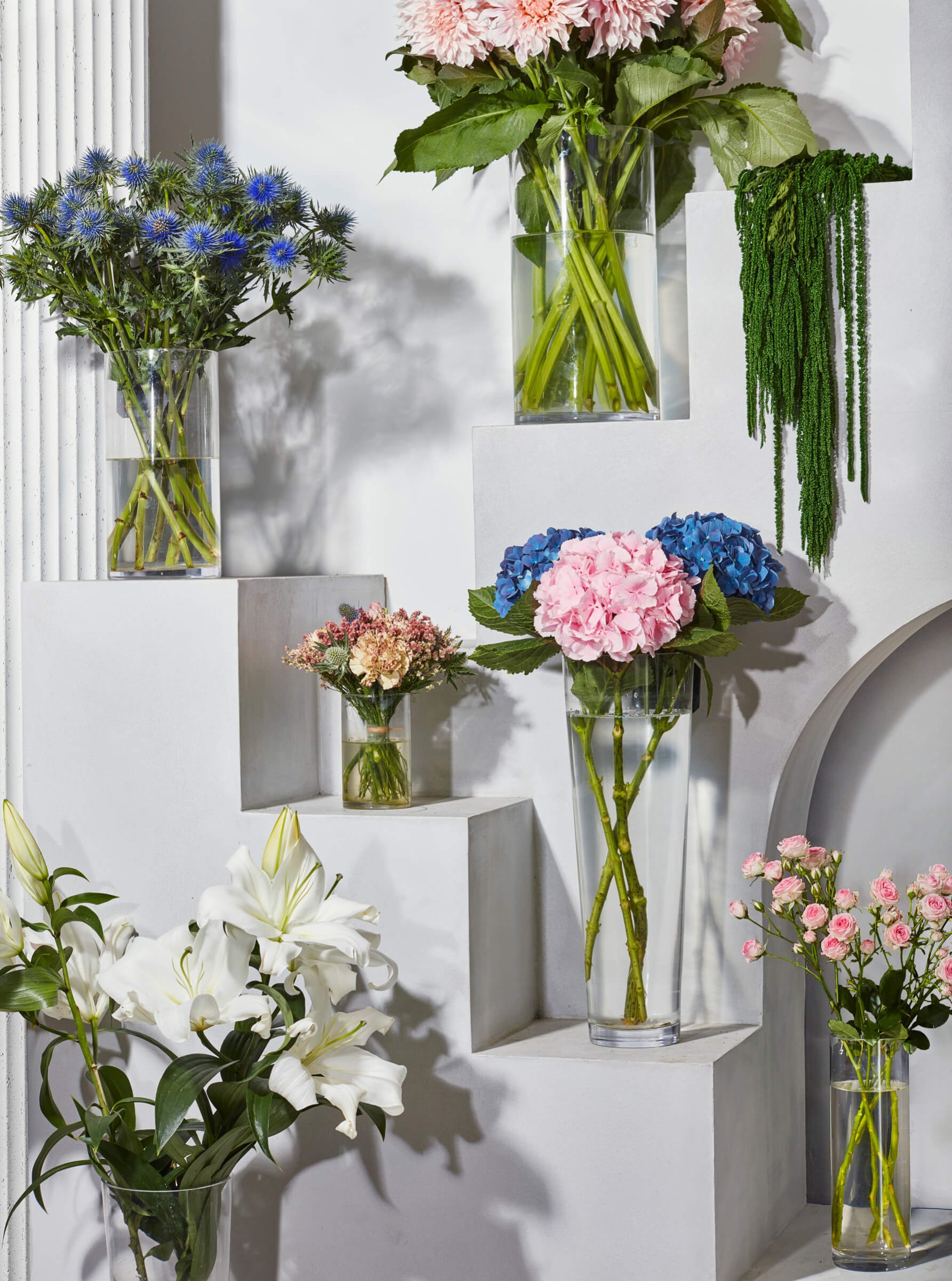 hold-on-please-vertical-thomas-weil-10