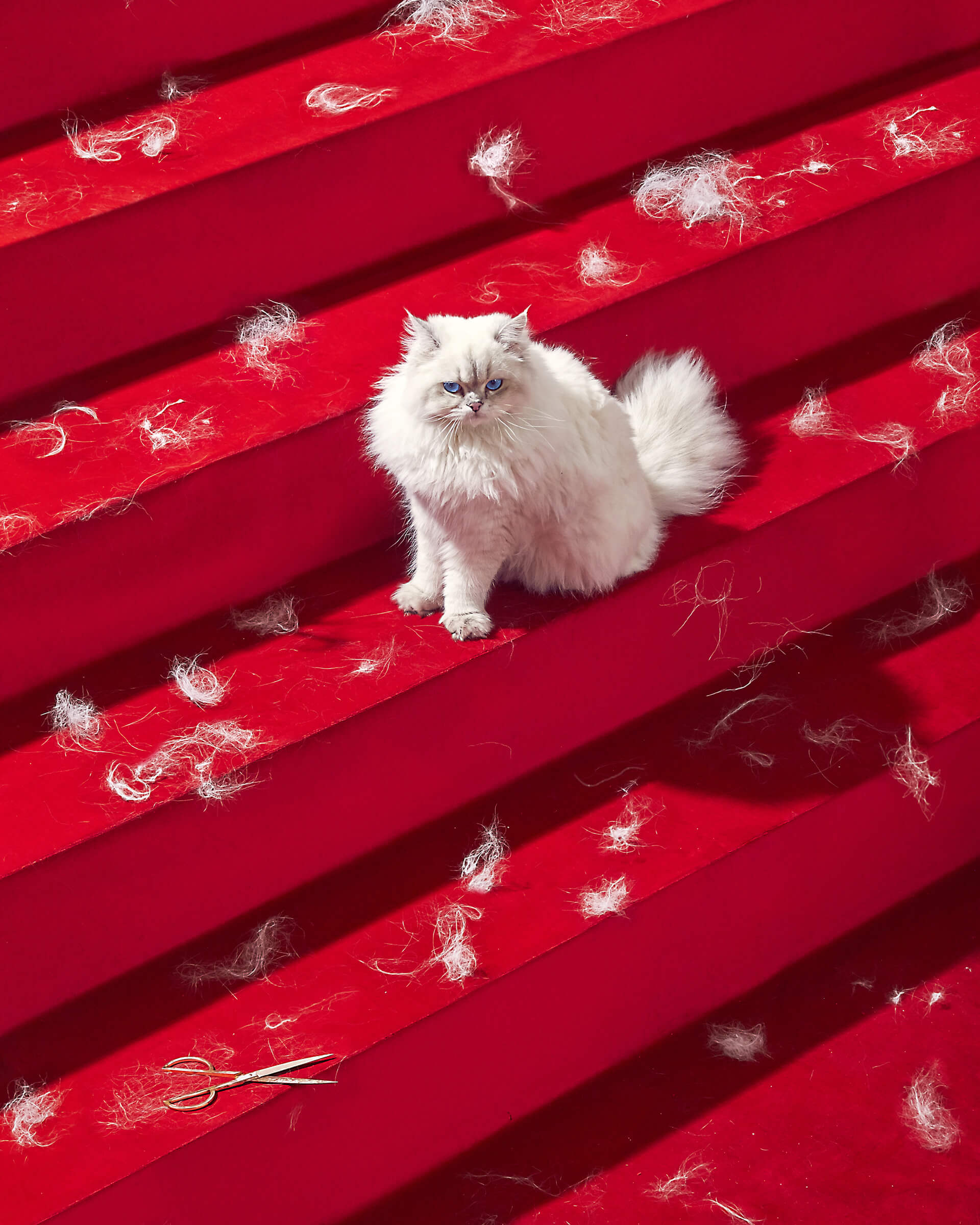 hold-on-please-still-life-thomas-weil-13