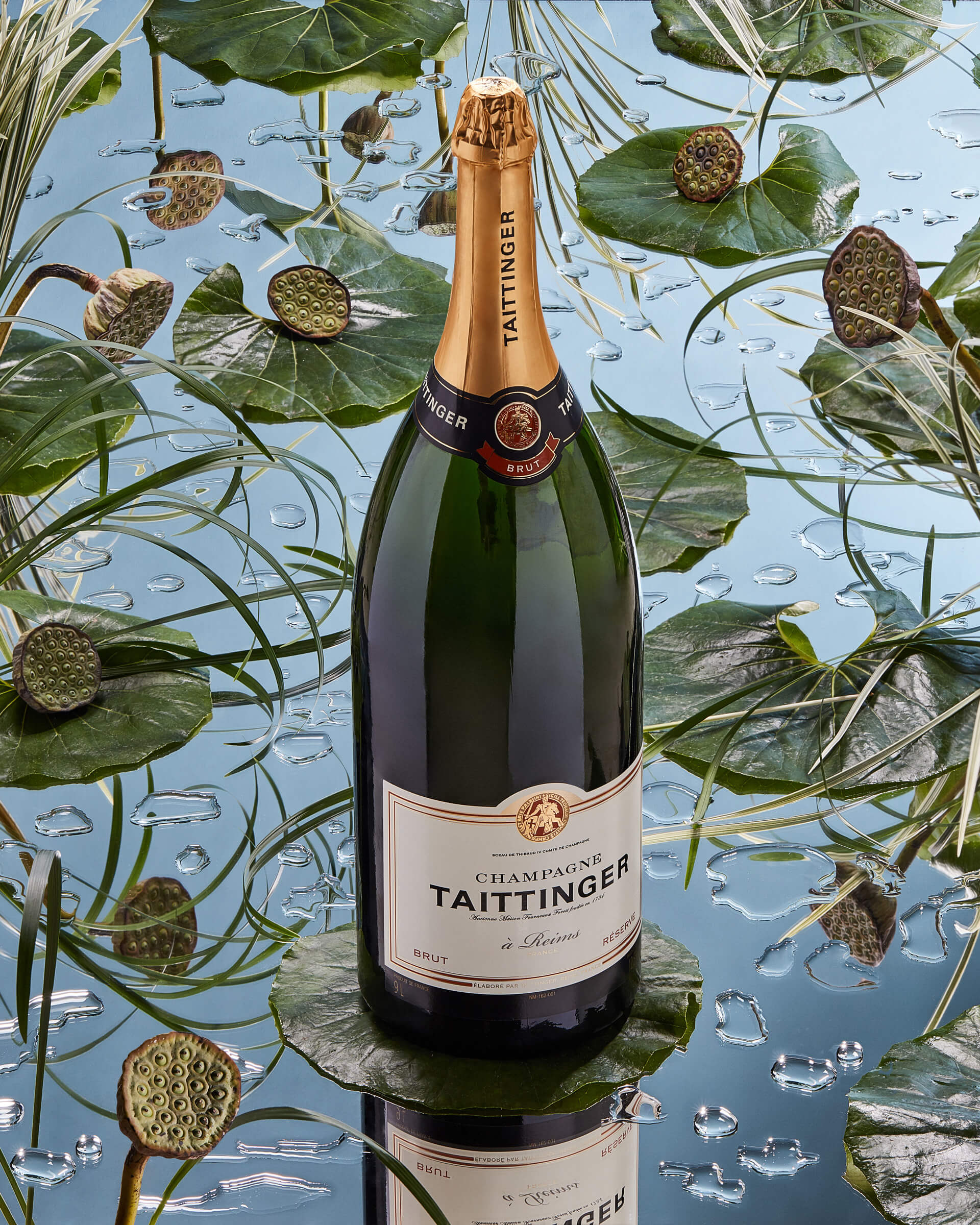 hold-on-please-taittinger-thomas-weil-03
