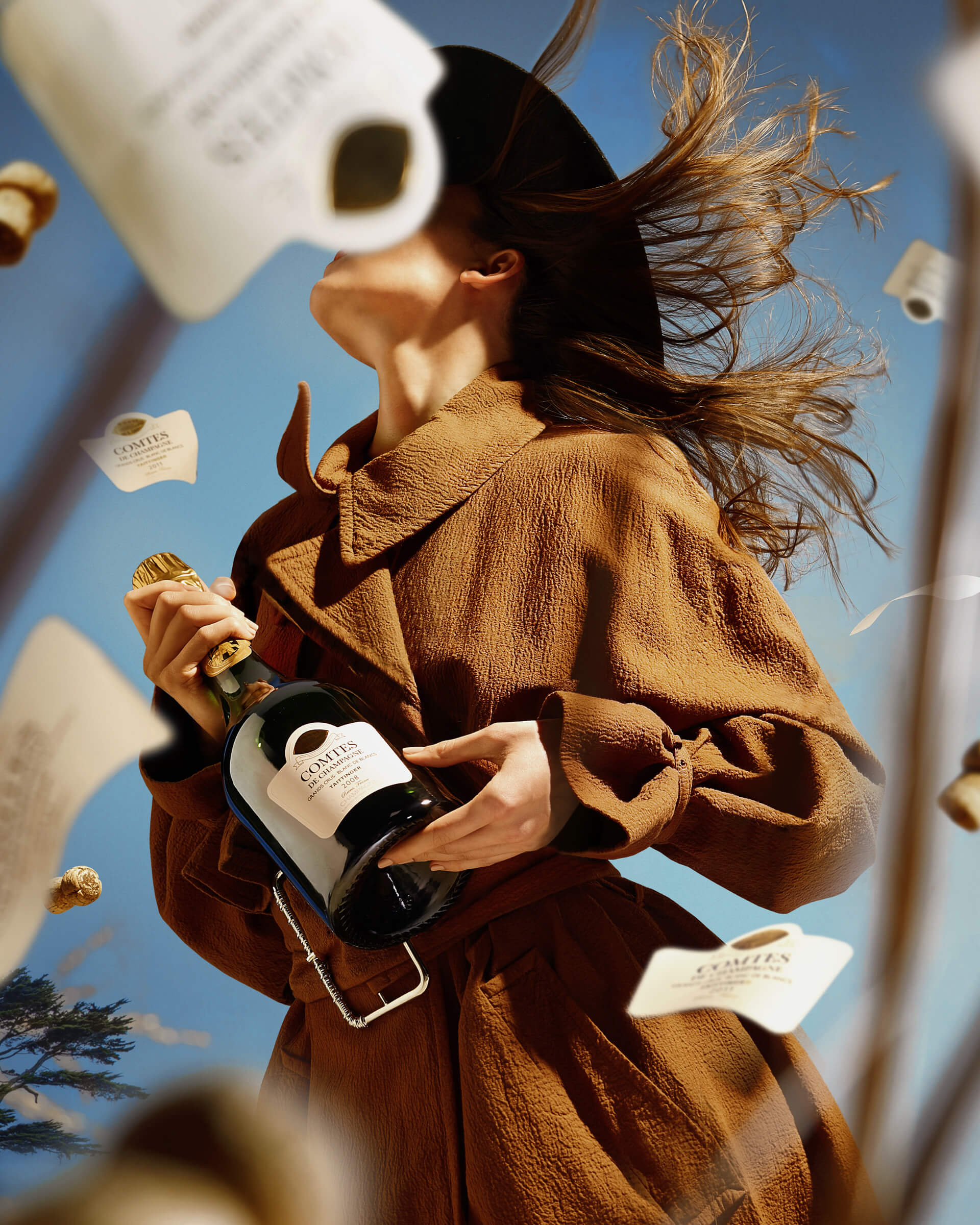 hold-on-please-taittinger-thomas-weil-18